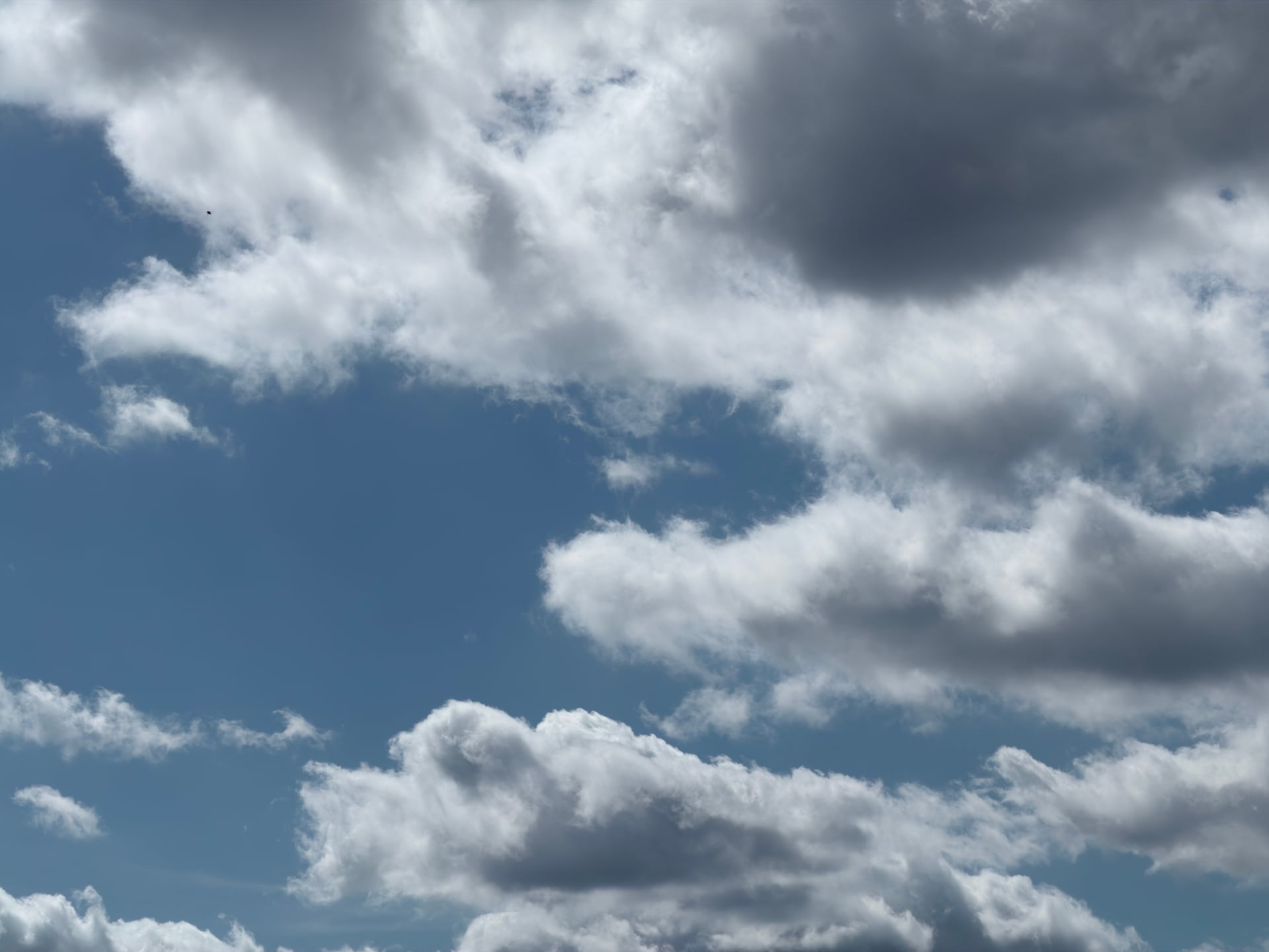 Soft gray and white cumulus clouds against blue.