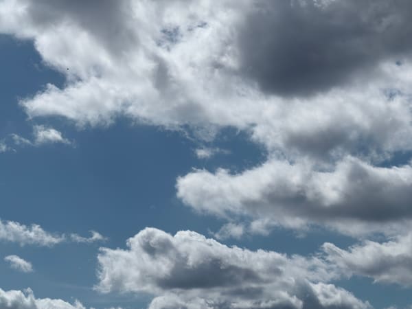 Soft gray and white cumulus clouds against blue.